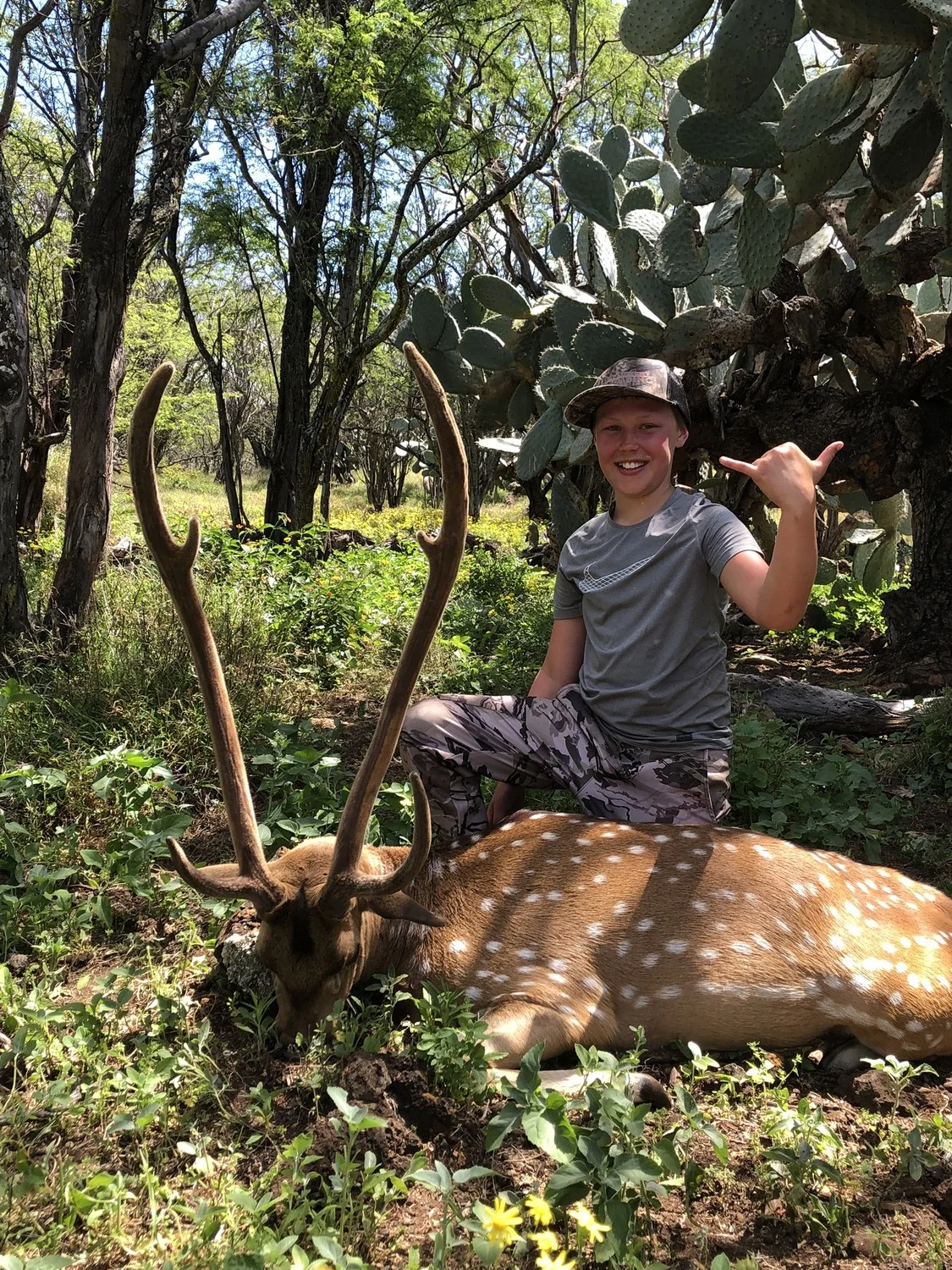 Axis Deer Rifle — Maui Deer Hunting