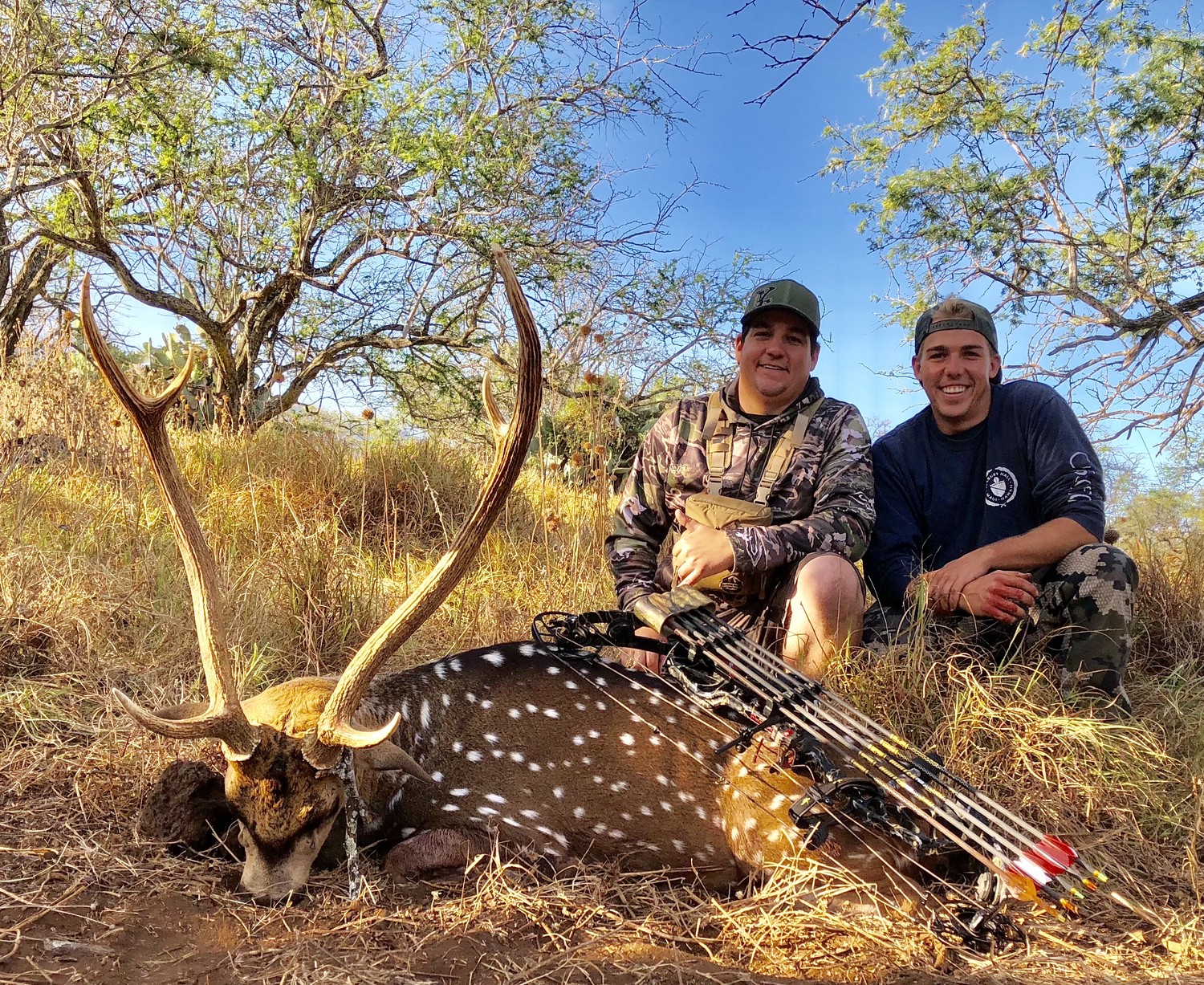 Axis Deer Archery — Maui Deer Hunting