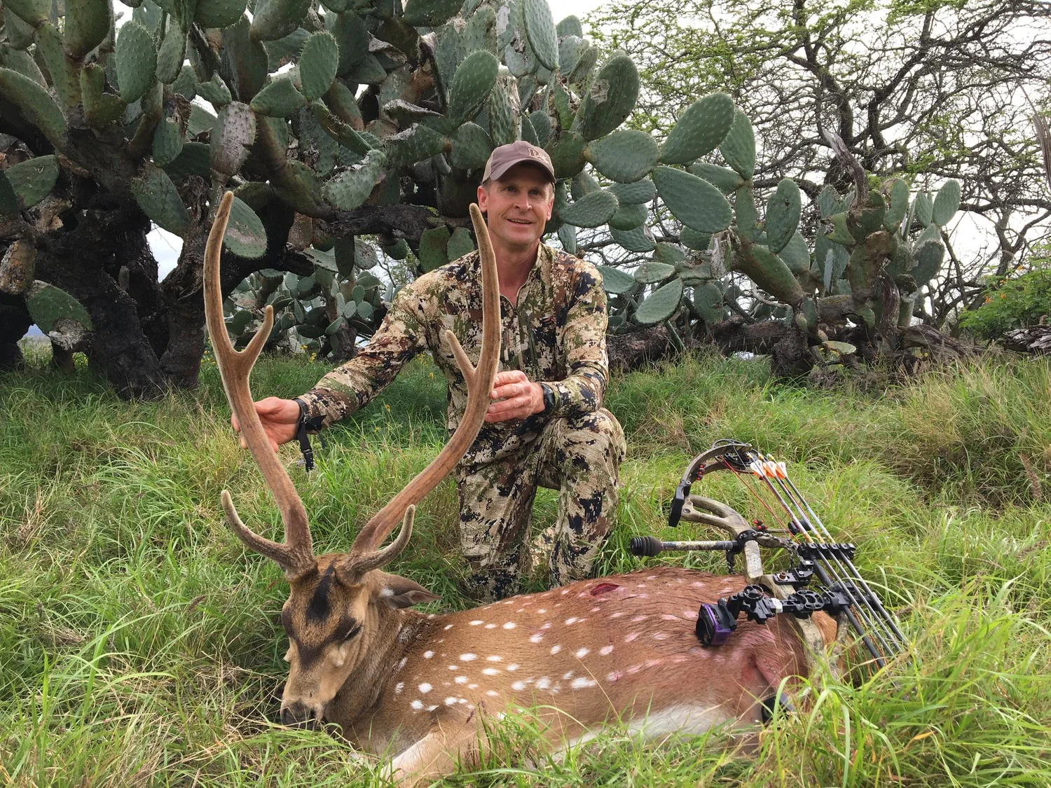 Axis Deer Archery — Maui Deer Hunting