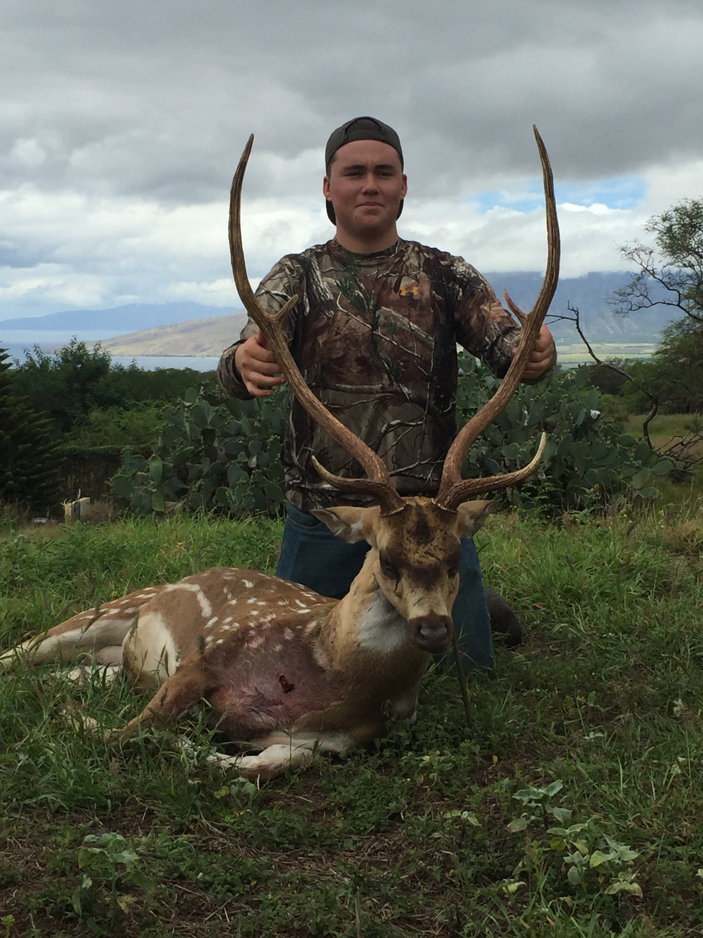 Axis Deer Rifle — Maui Deer Hunting