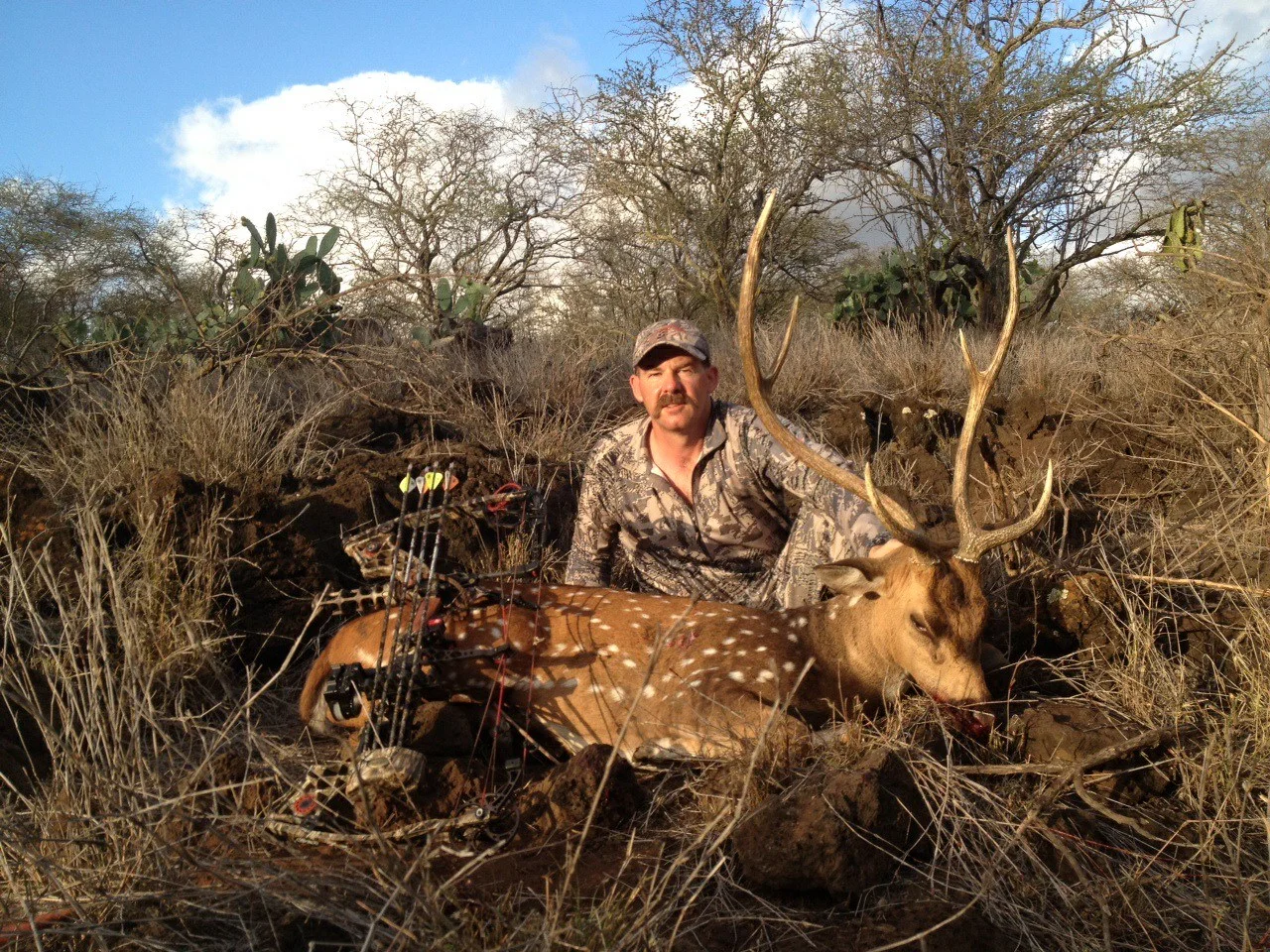 Axis Deer Archery — Maui Deer Hunting