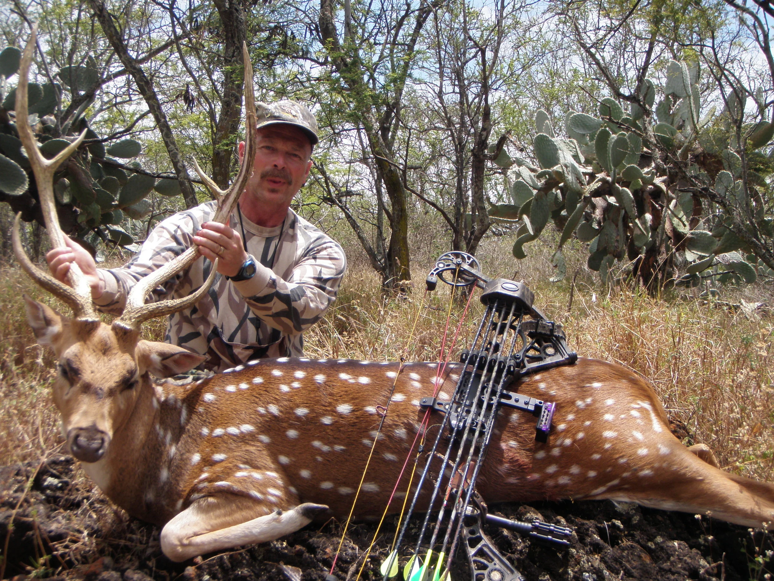 Axis Deer Archery — Maui Deer Hunting