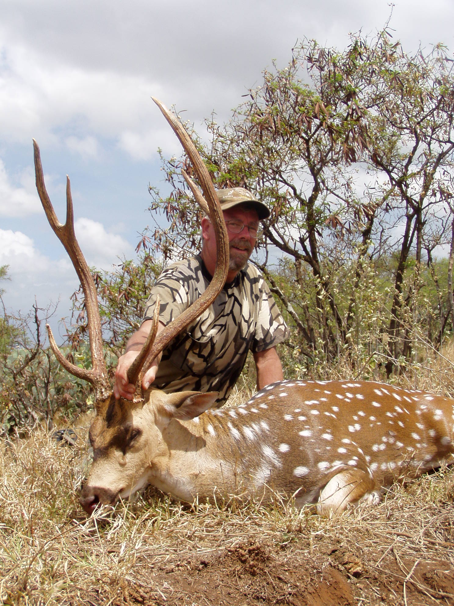 Axis Deer Archery — Maui Deer Hunting