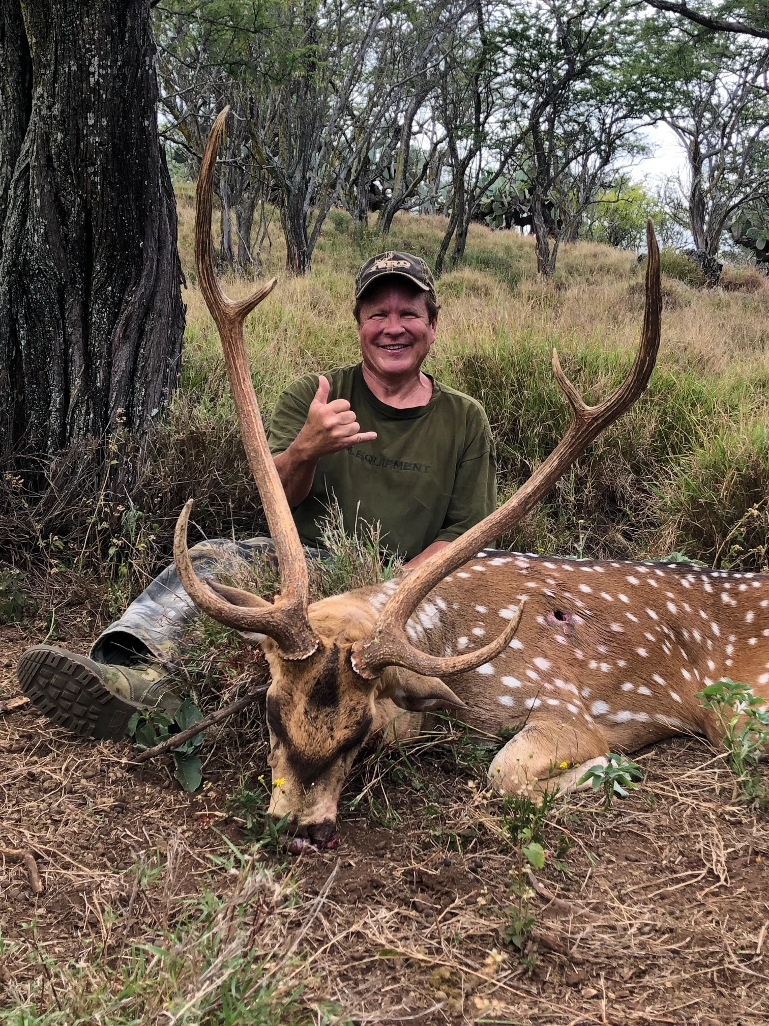 Axis Deer Rifle — Maui Deer Hunting