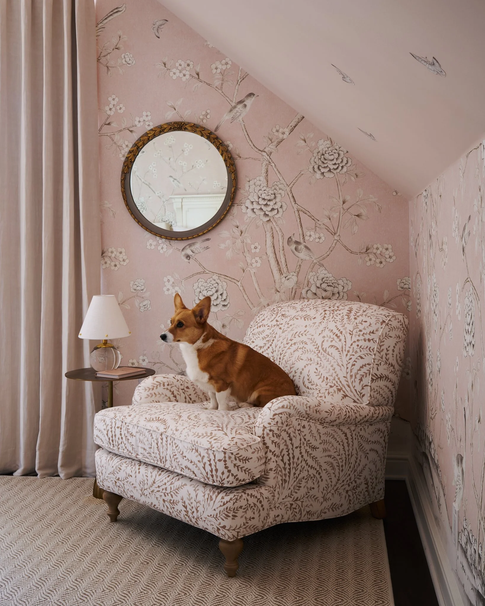 240229_F_AS_Purcell_241_With_Corgi.jpg
