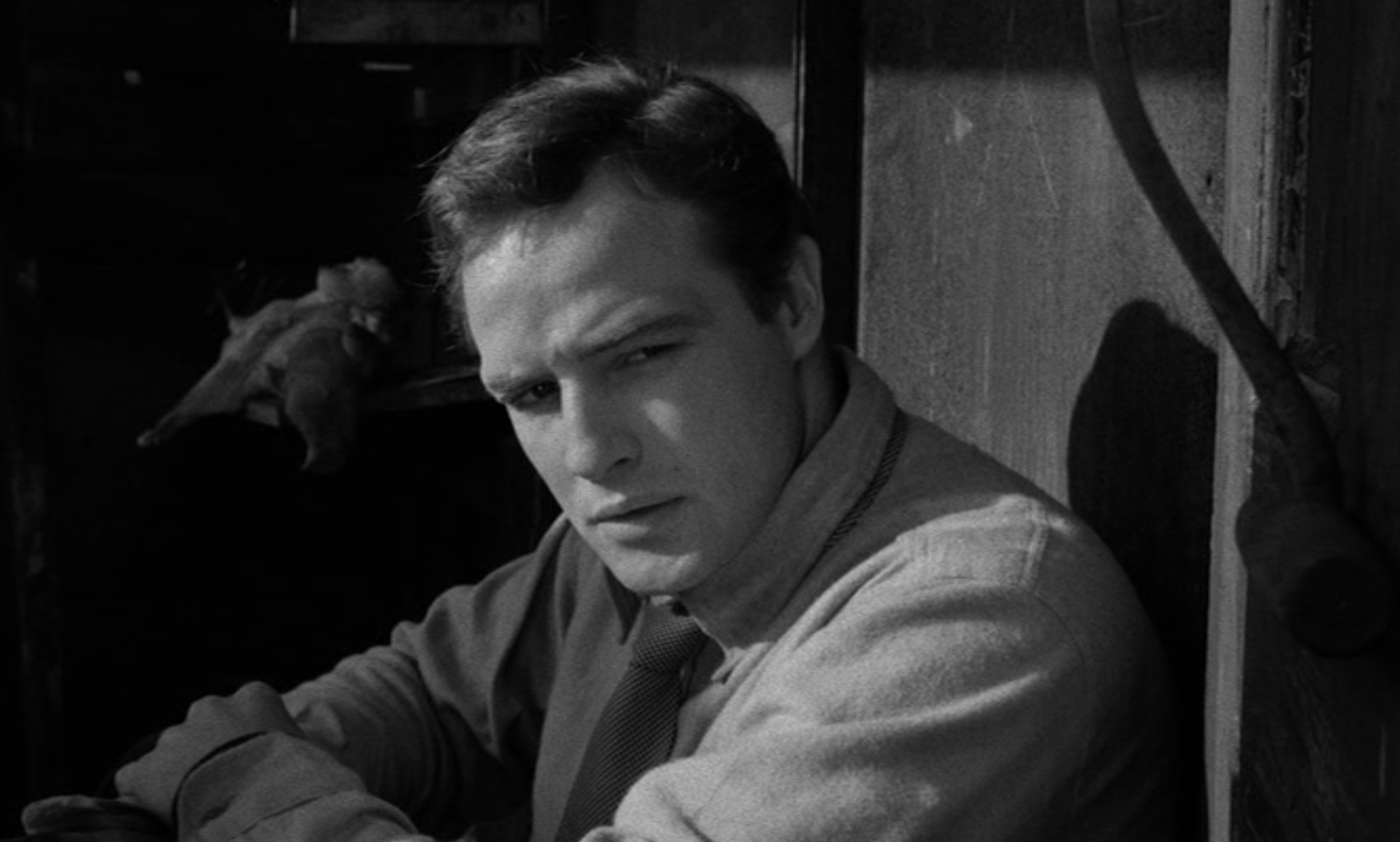 Marlon Brando On The Waterfront I Could Have Been A Contender