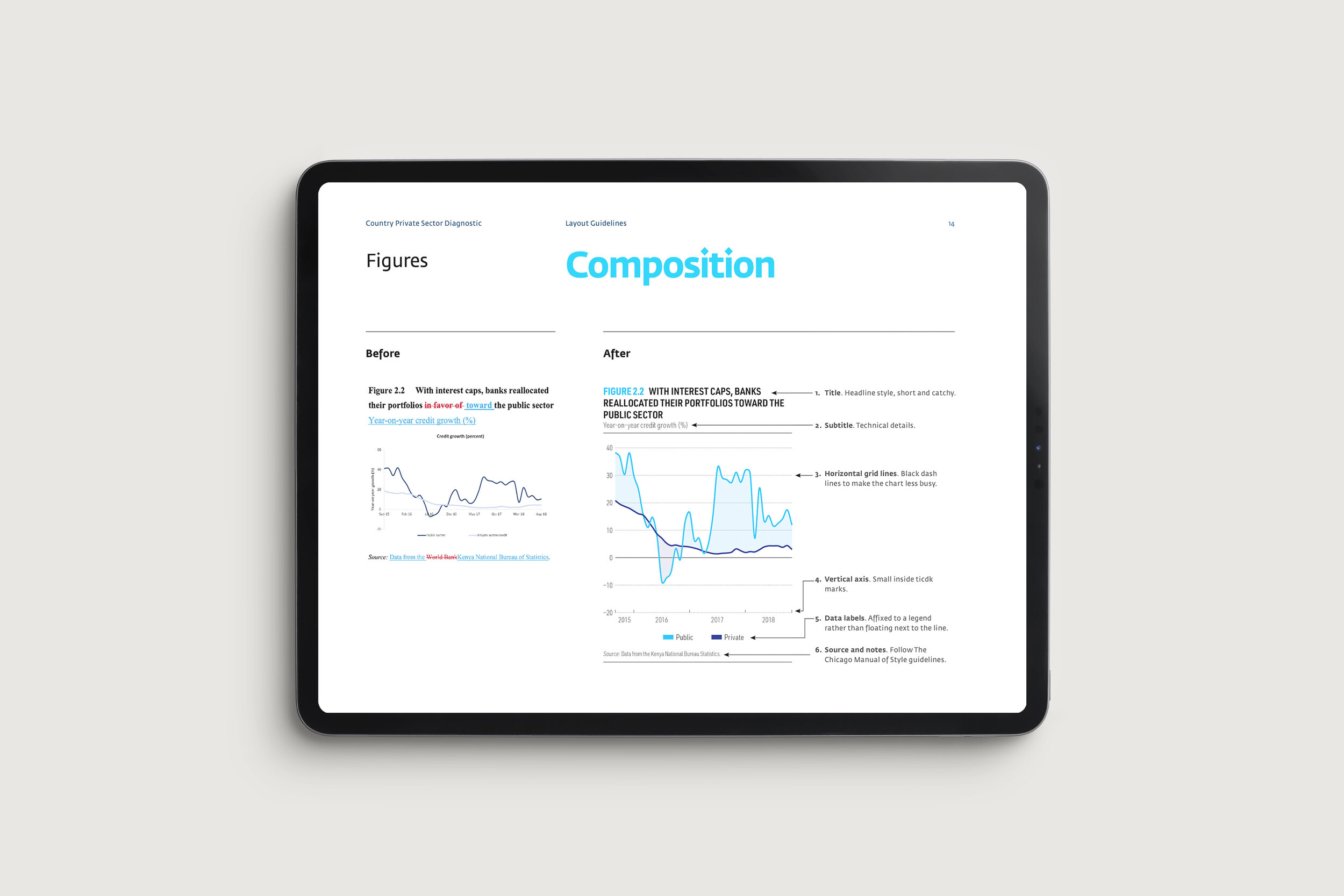 Visualization design guidelines produced by Designed for Humans for the International Finance Corporation Country Private Sector Diagnostic.
