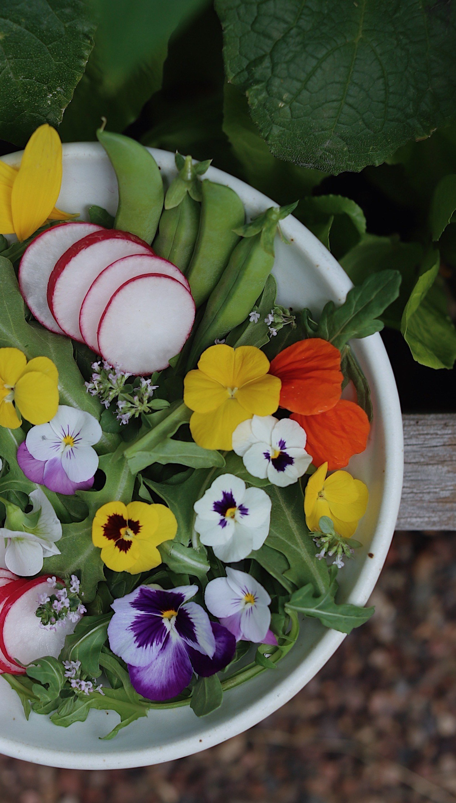 My Favorite Edible Flowers — simply living well