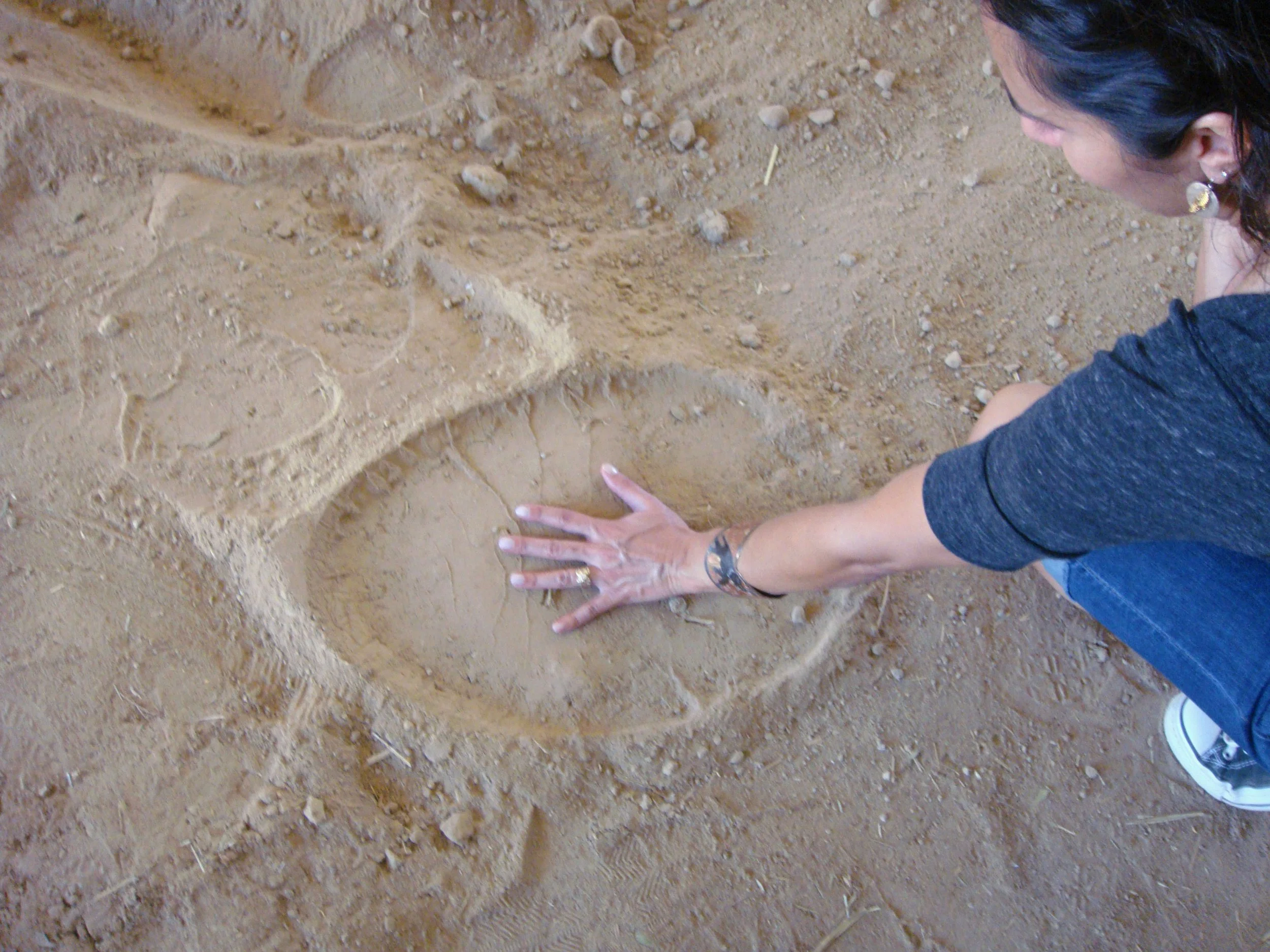 How I became Wild For Change 