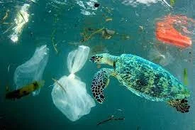 The key to tackling ocean pollution is our awareness.