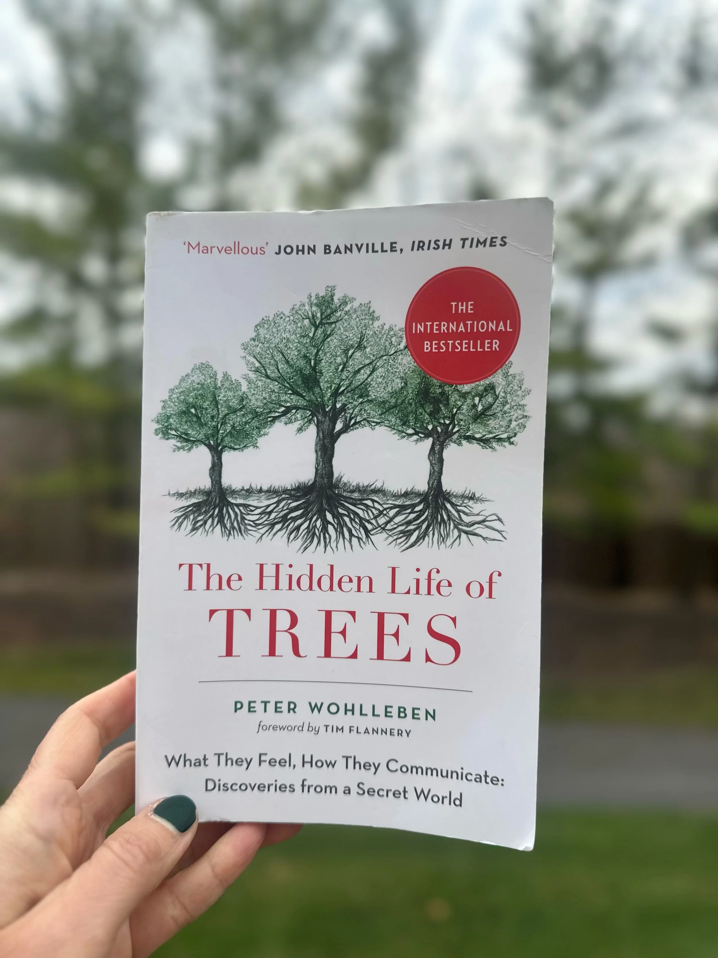 life of trees 2.jpg