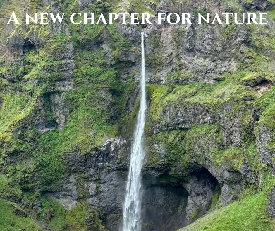 When Nature Has A Seat At The Table