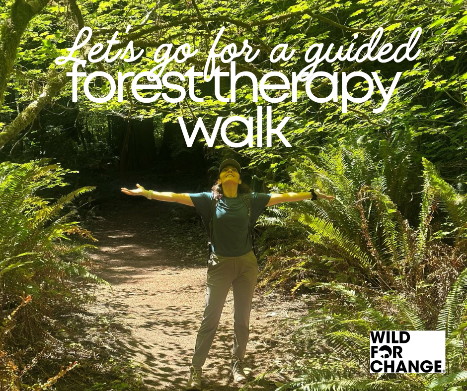      

 
   Spending time in nature has always brought me a sense of peace, clarity, and renewal. It’s where I feel more grounded, relaxed, and connected to the larger living world.  Because of this deep love of nature and the gifts it has given me, 