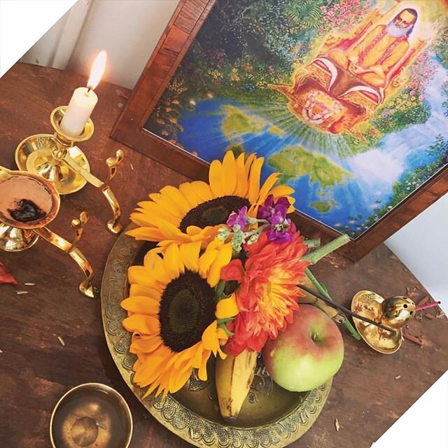 This beautiful mess is what it looks like after a puja is performed, a beautiful ceremony that every person who learns Vedic Meditation gets to experience as they&rsquo;re initiated into the practice.⁣
⁣
What we teach at Meditation Without Borders is