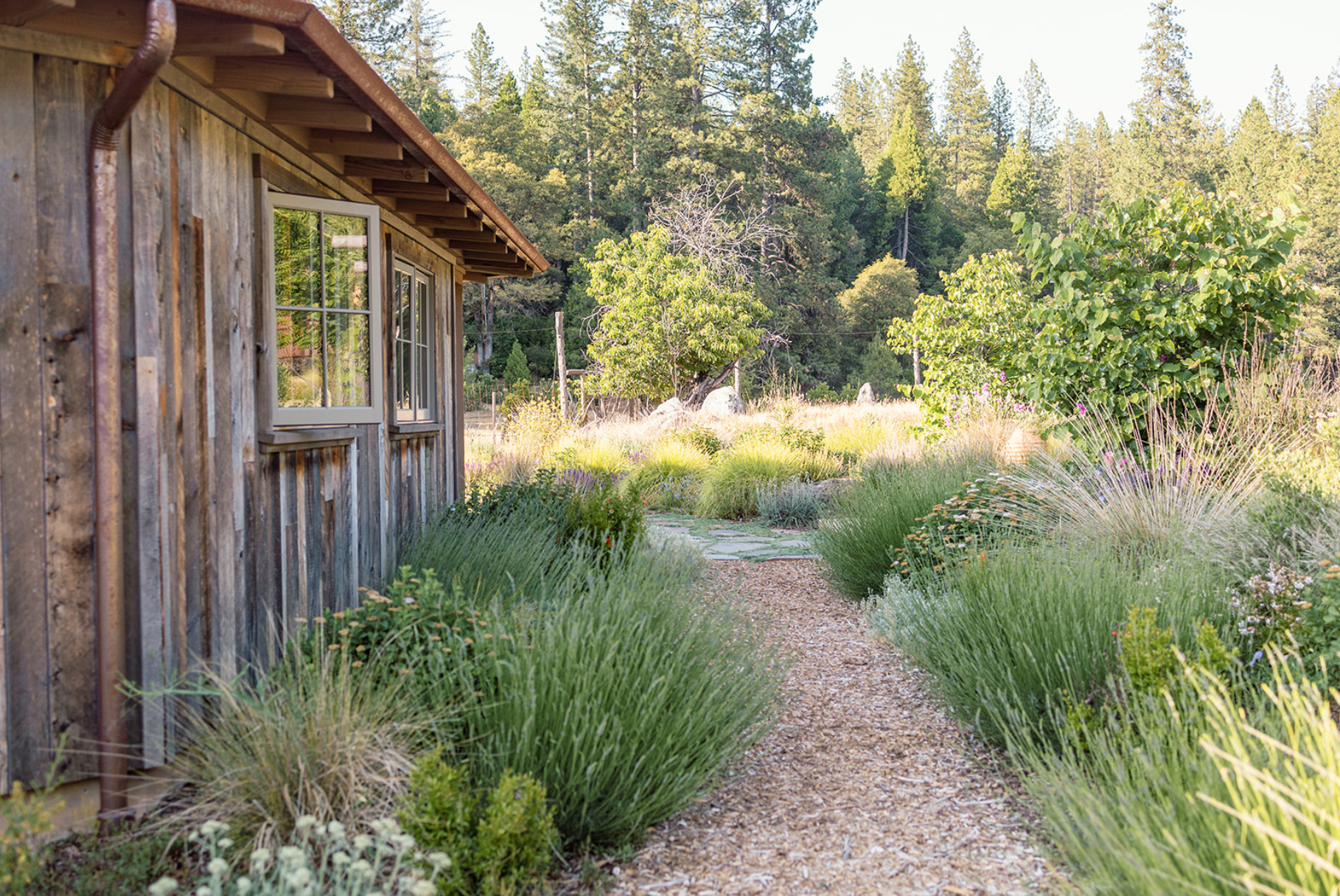 Screen Shot 2026-03-26 at 12.48.23 PM.png