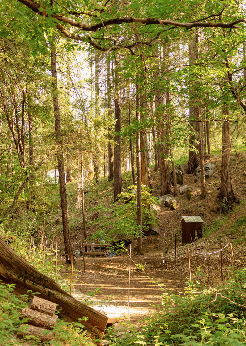 Screen Shot 2026-03-26 at 12.52.53 PM.png