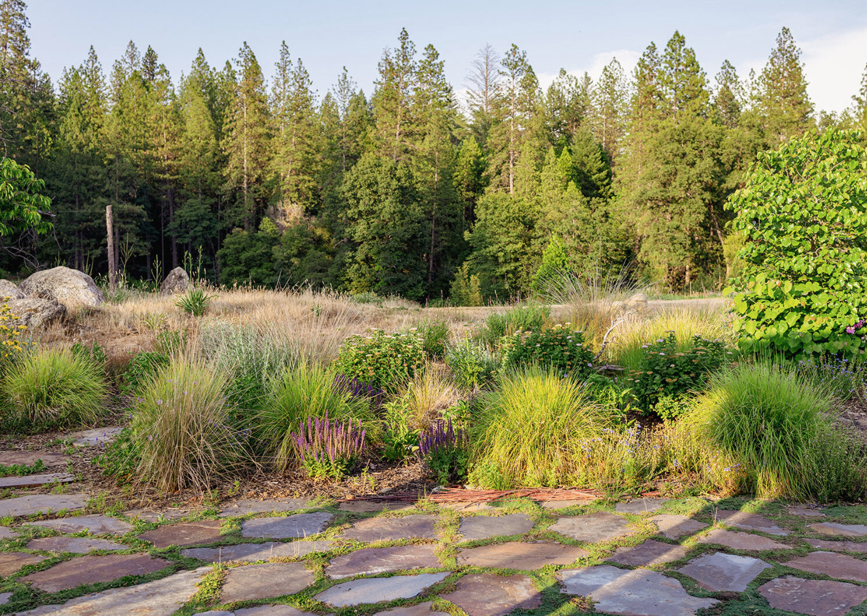 Screen Shot 2026-03-30 at 2.10.20 PM.png