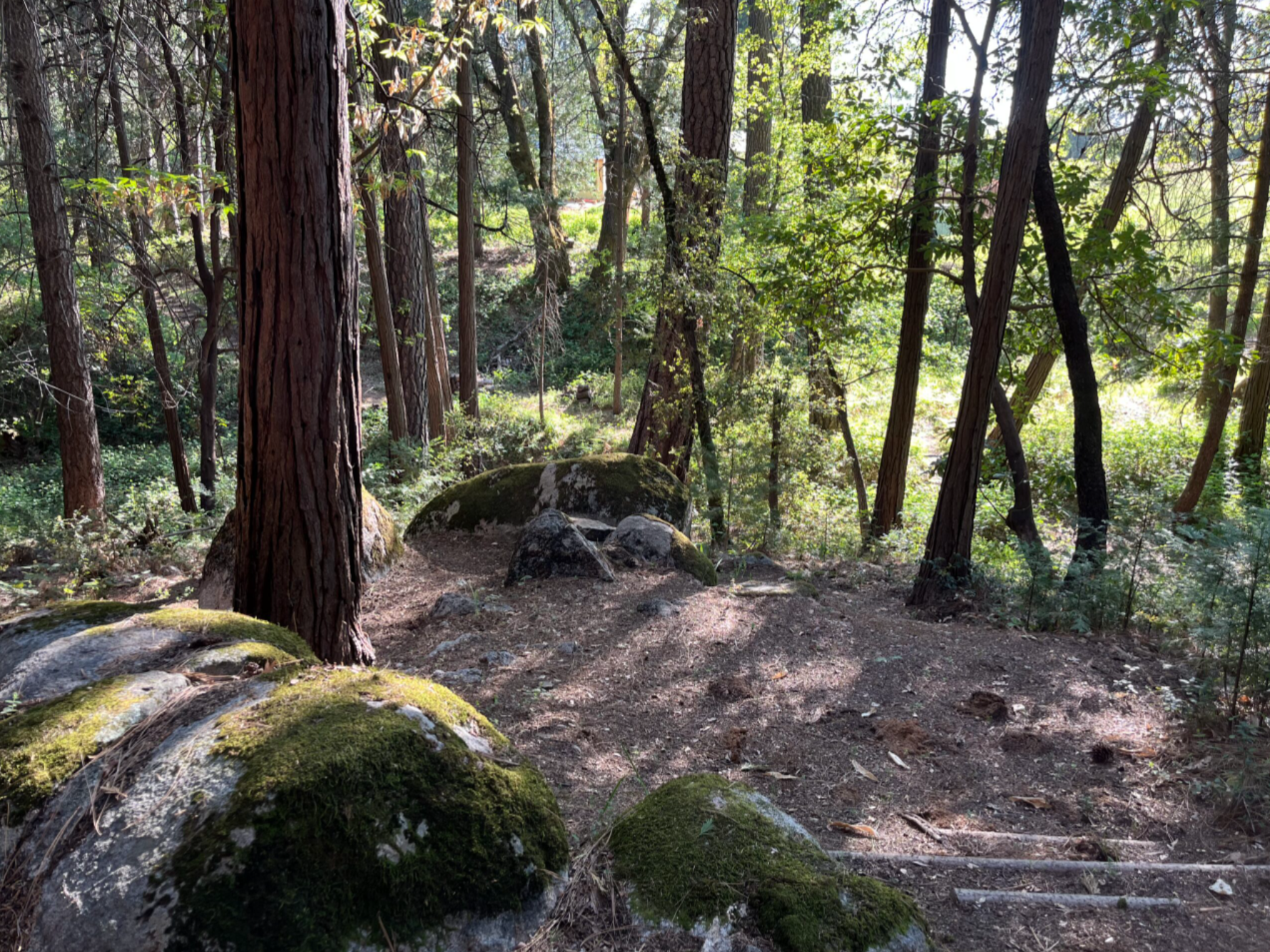 Screen Shot 2026-03-31 at 10.44.25 AM.png