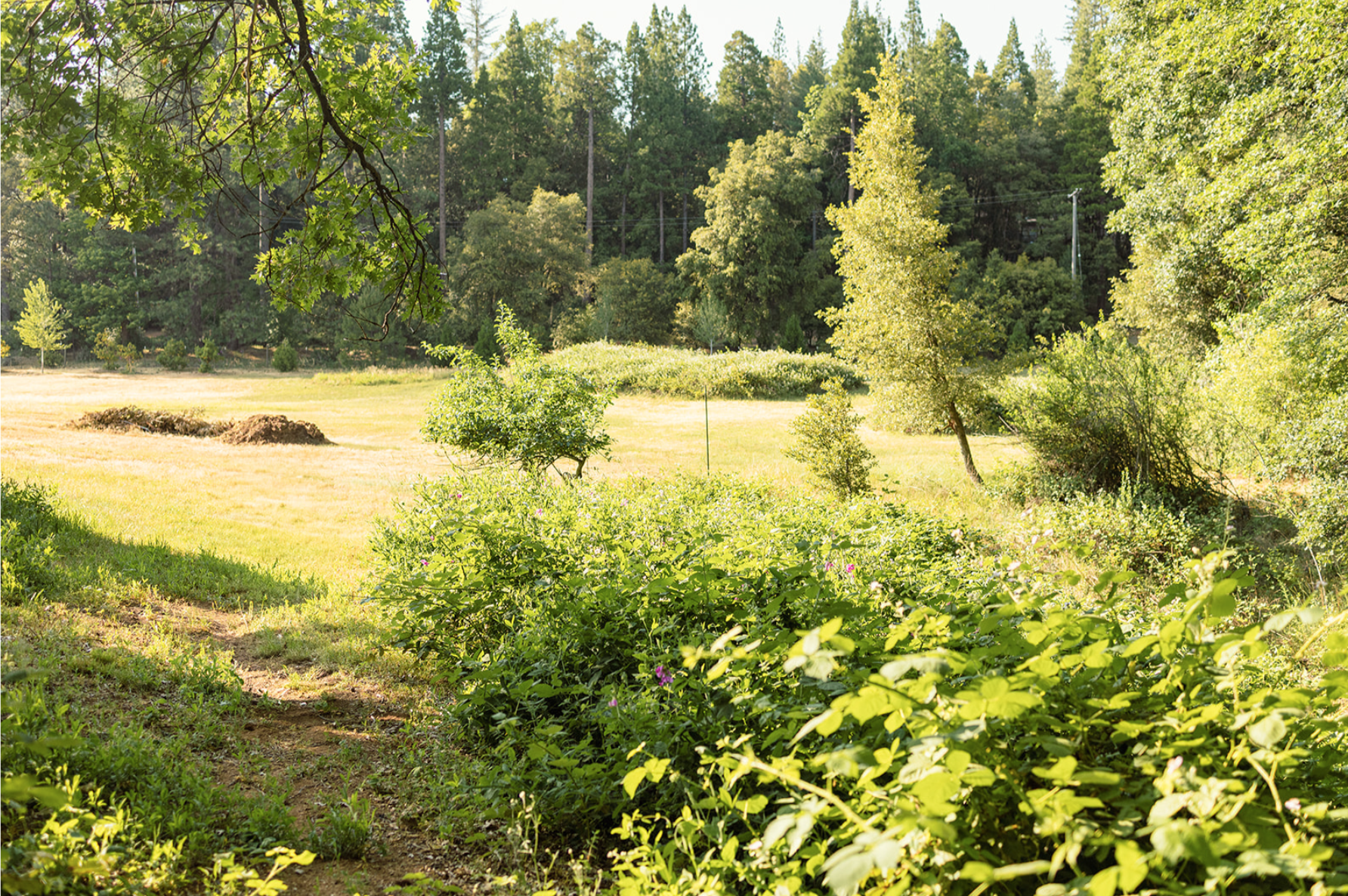 Screen Shot 2026-03-31 at 10.44.31 AM.png