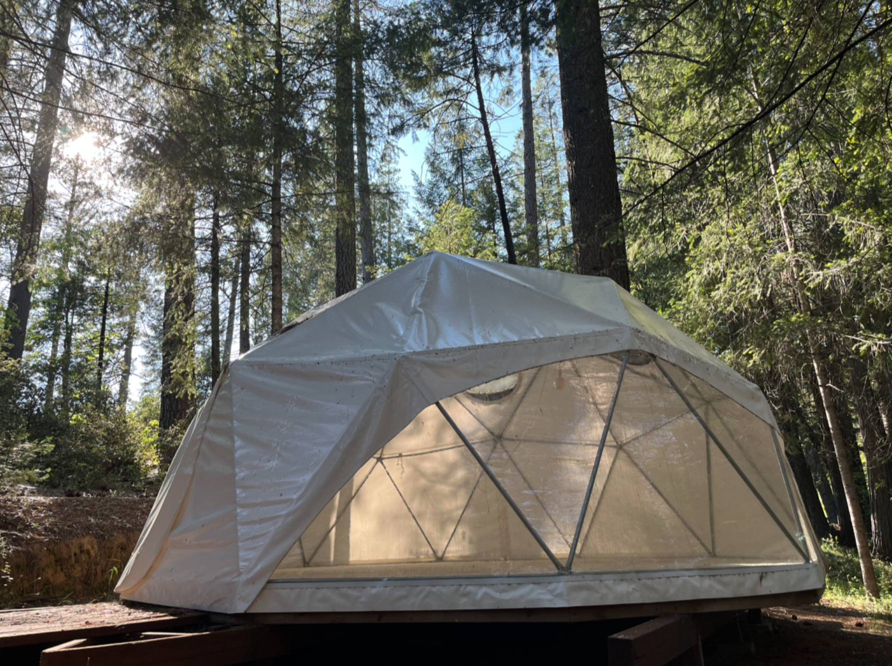 Screen Shot 2026-03-31 at 10.44.38 AM.png