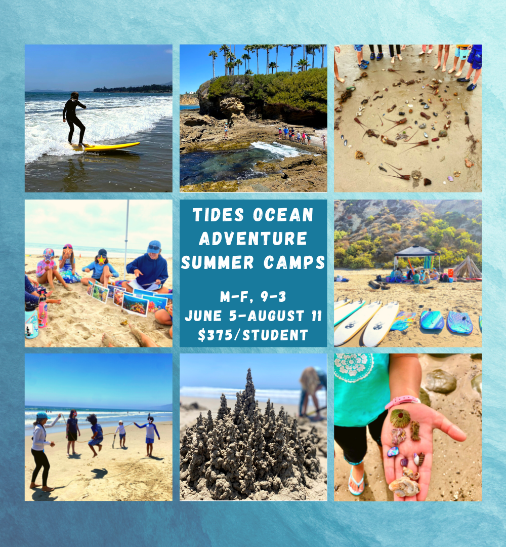 All Summer Camps — Lanterns Global Learning Programs