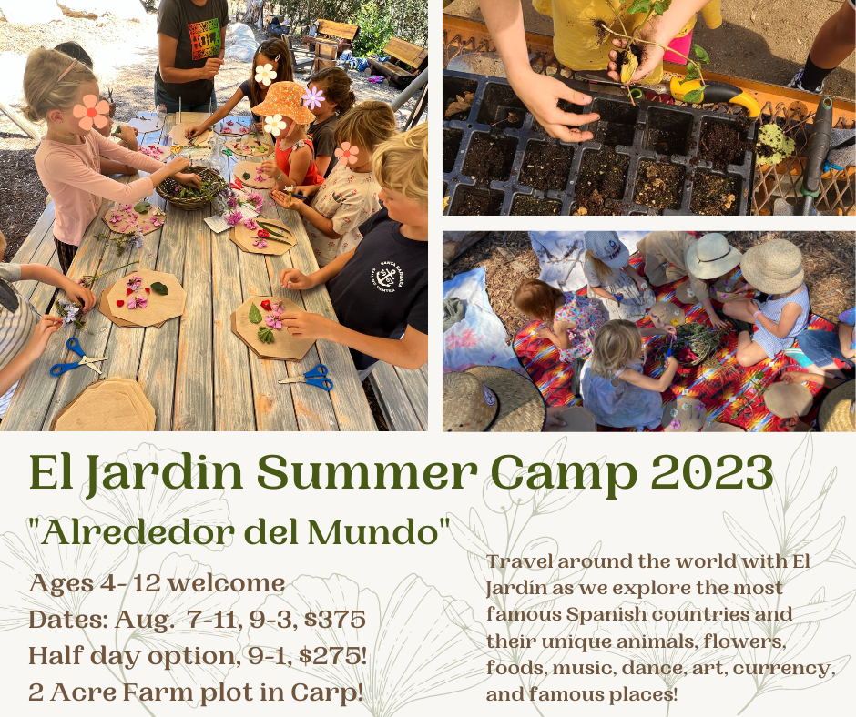 All Summer Camps — Lanterns Global Learning Programs