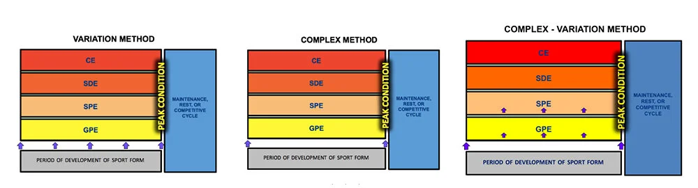 一個紫色的箭頭,代表一套新的訓練方式介入,可能是動作的改變…等。可以看到Complex Method從頭到尾貫徹同一套做法(只有在前後各出現一個箭頭而已)。Variation Method則是透過不斷地提供變異性來提升效果。