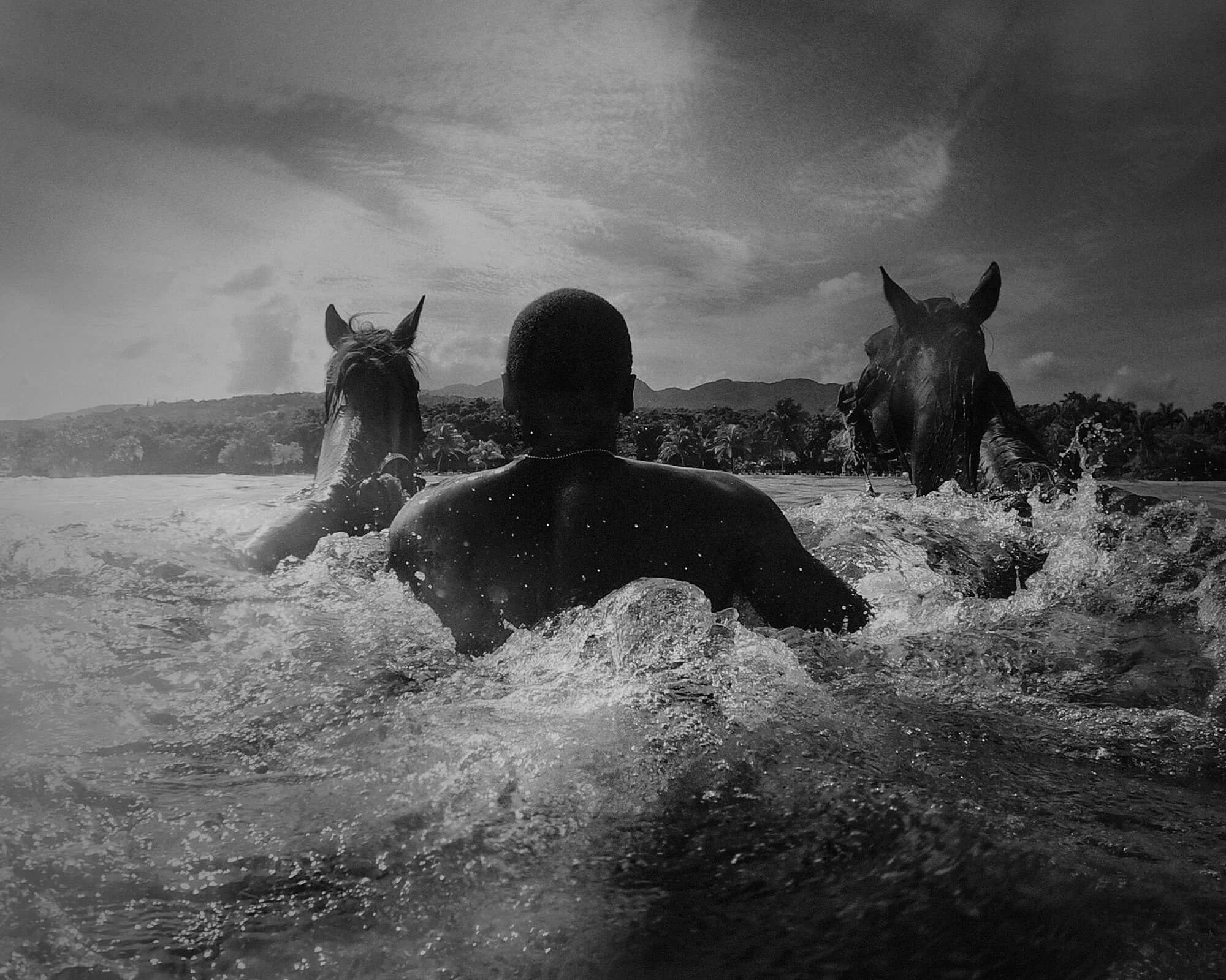 Half_Moon_8x10_inch_V2 copy.jpg