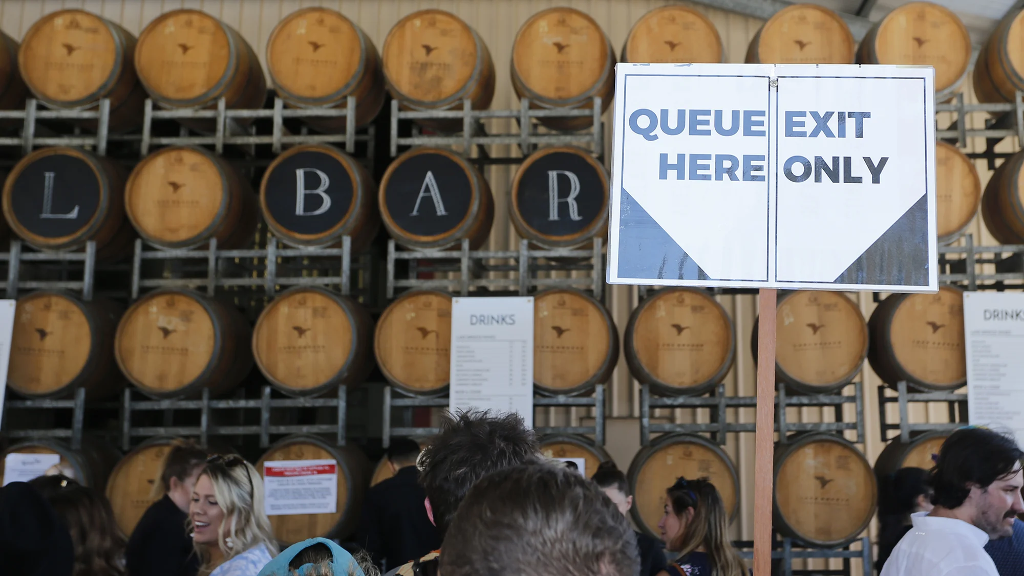 Handpicked Festival Lake Breeze Winery 2018 by Tony Virgo (8)small.jpg