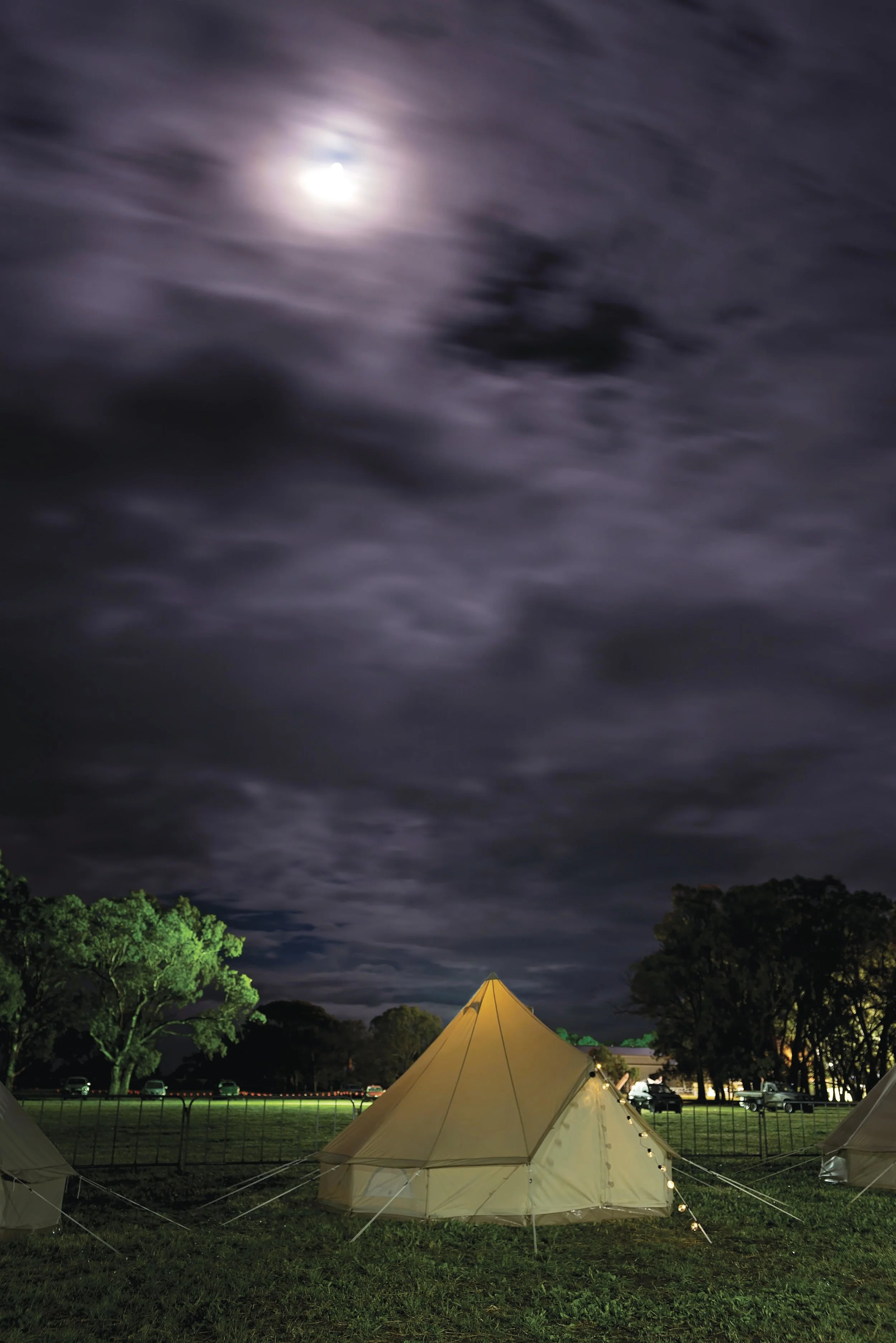 139066-19small.jpg