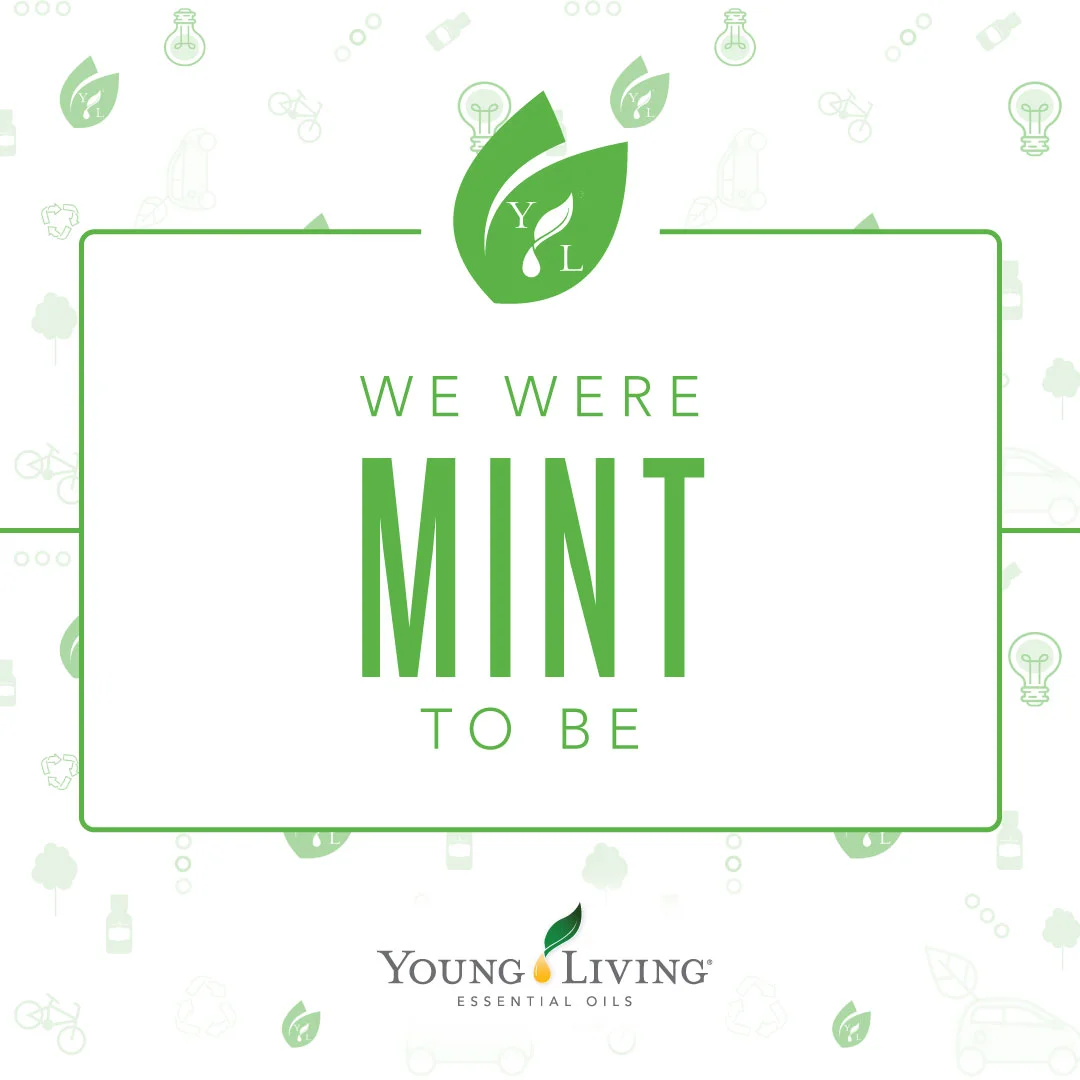 Thieves Toothpaste Review... from a 7 year old.