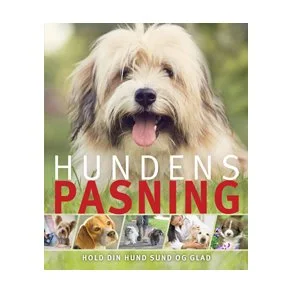Hundens pasning
