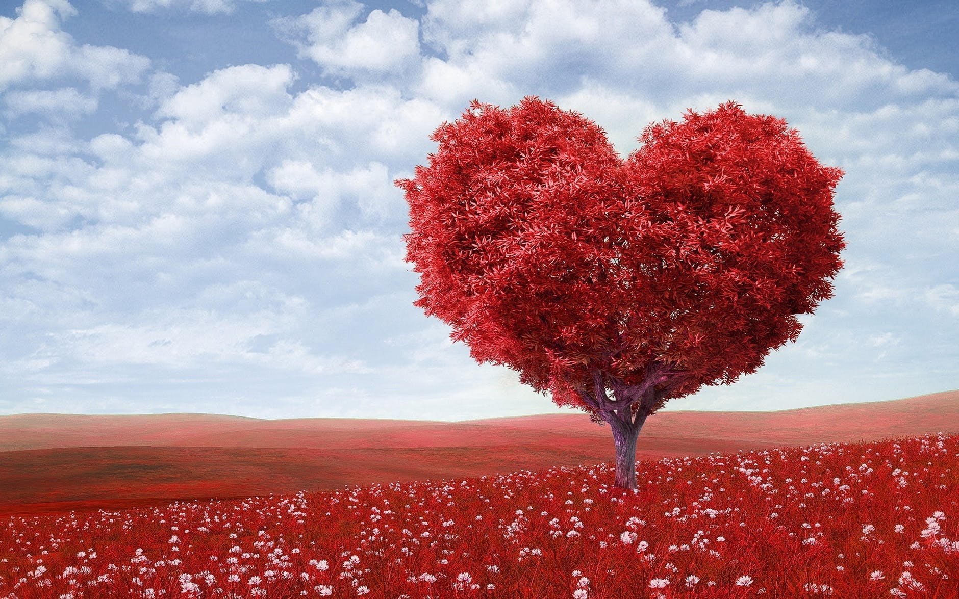 Red heart tree.jpeg