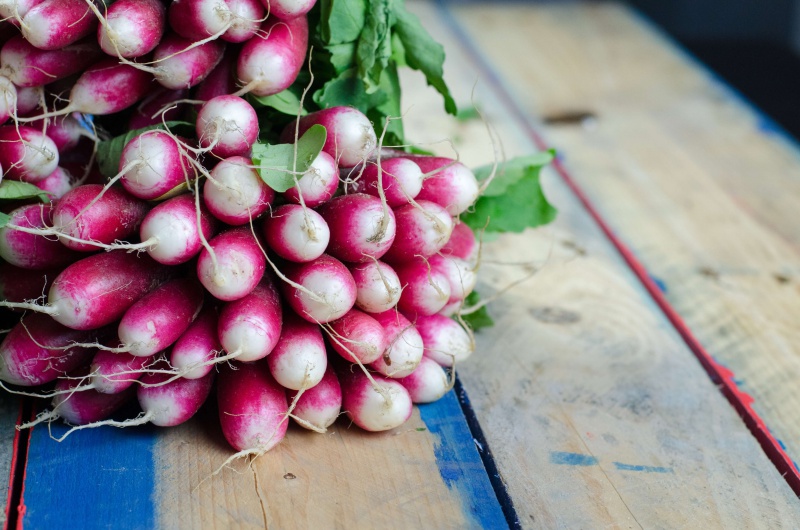 what to eat in april - radish closeup