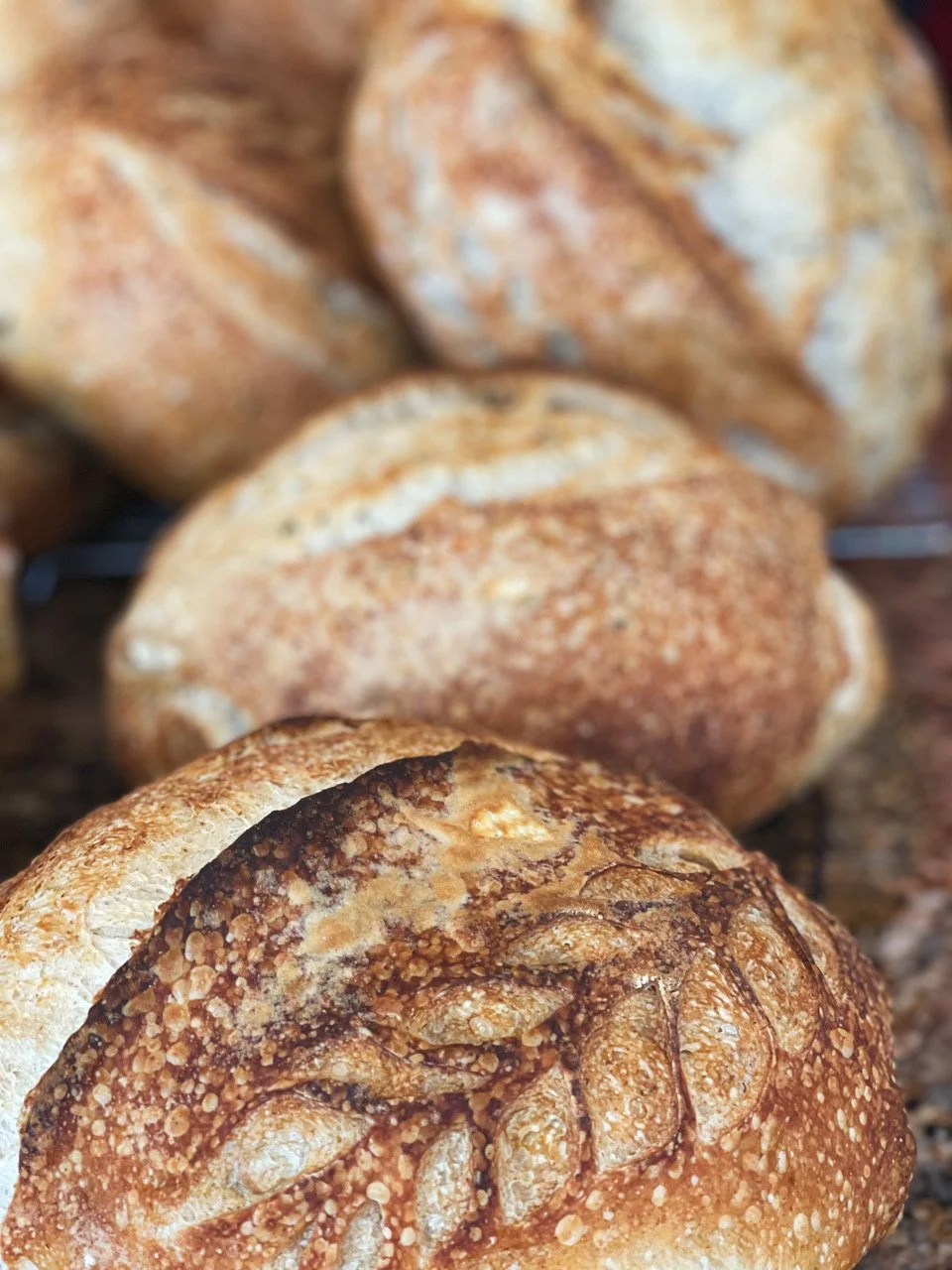 Sourdough Bread Loaves-6.jpeg
