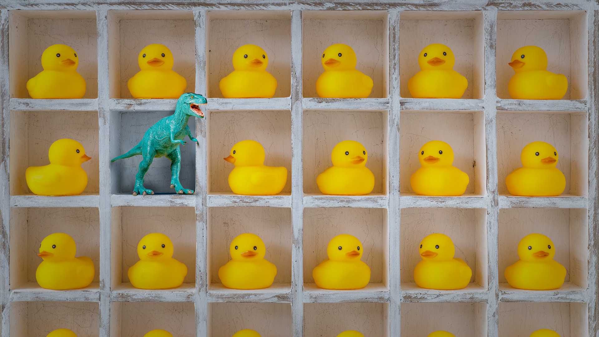 Topic header3.jpg