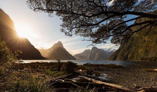 Beautiful captures from one of Fiordlands' best. #Repost : @phomadic