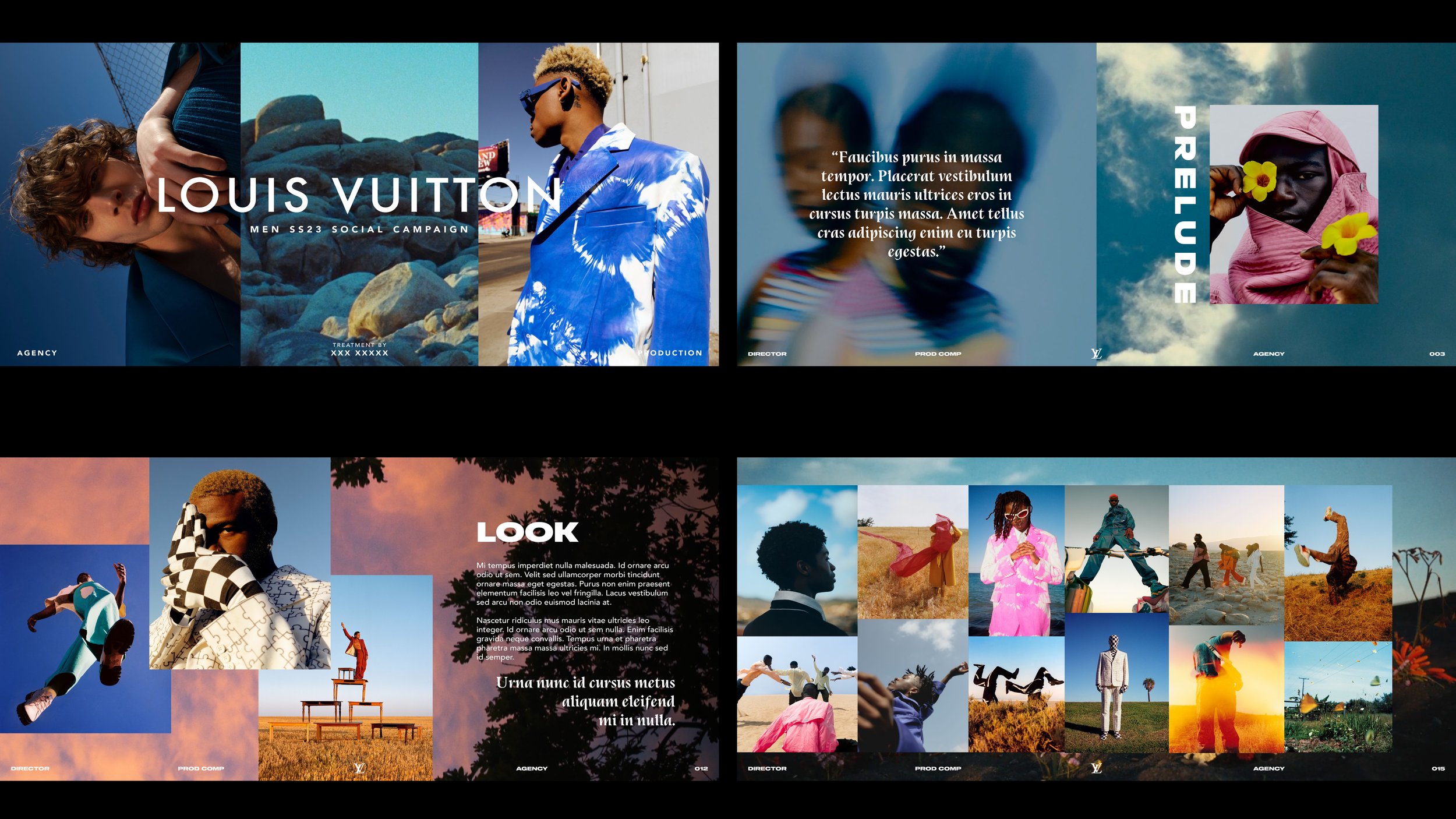 003-LV-WEB.jpg