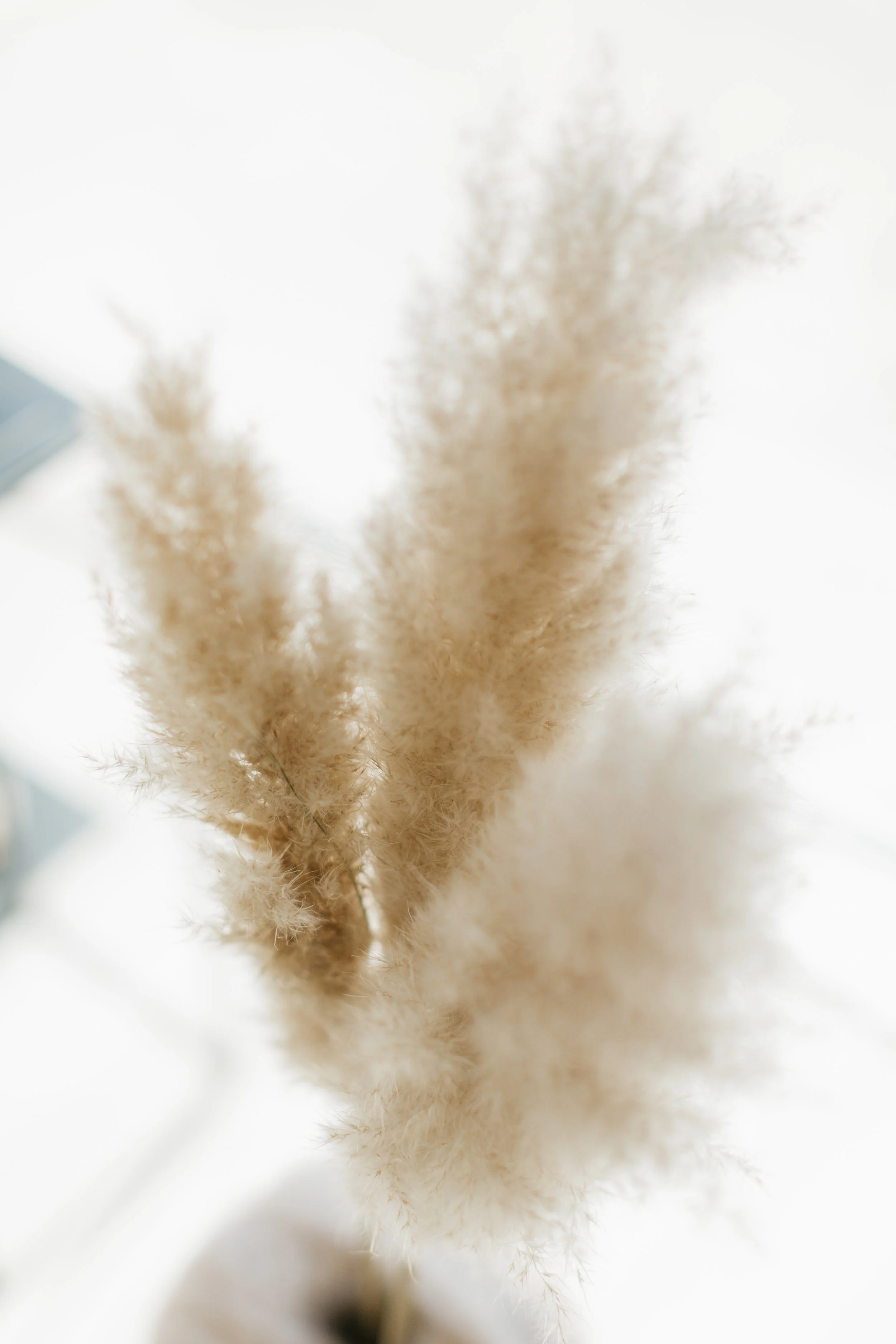 20190514_Gaarne_MathiasHannes_51.jpg