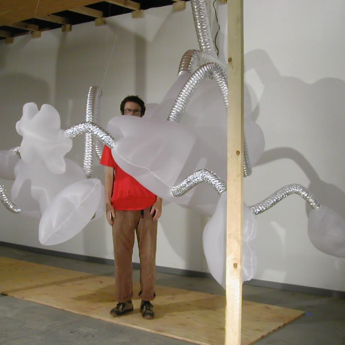 Respiring Cloudscape