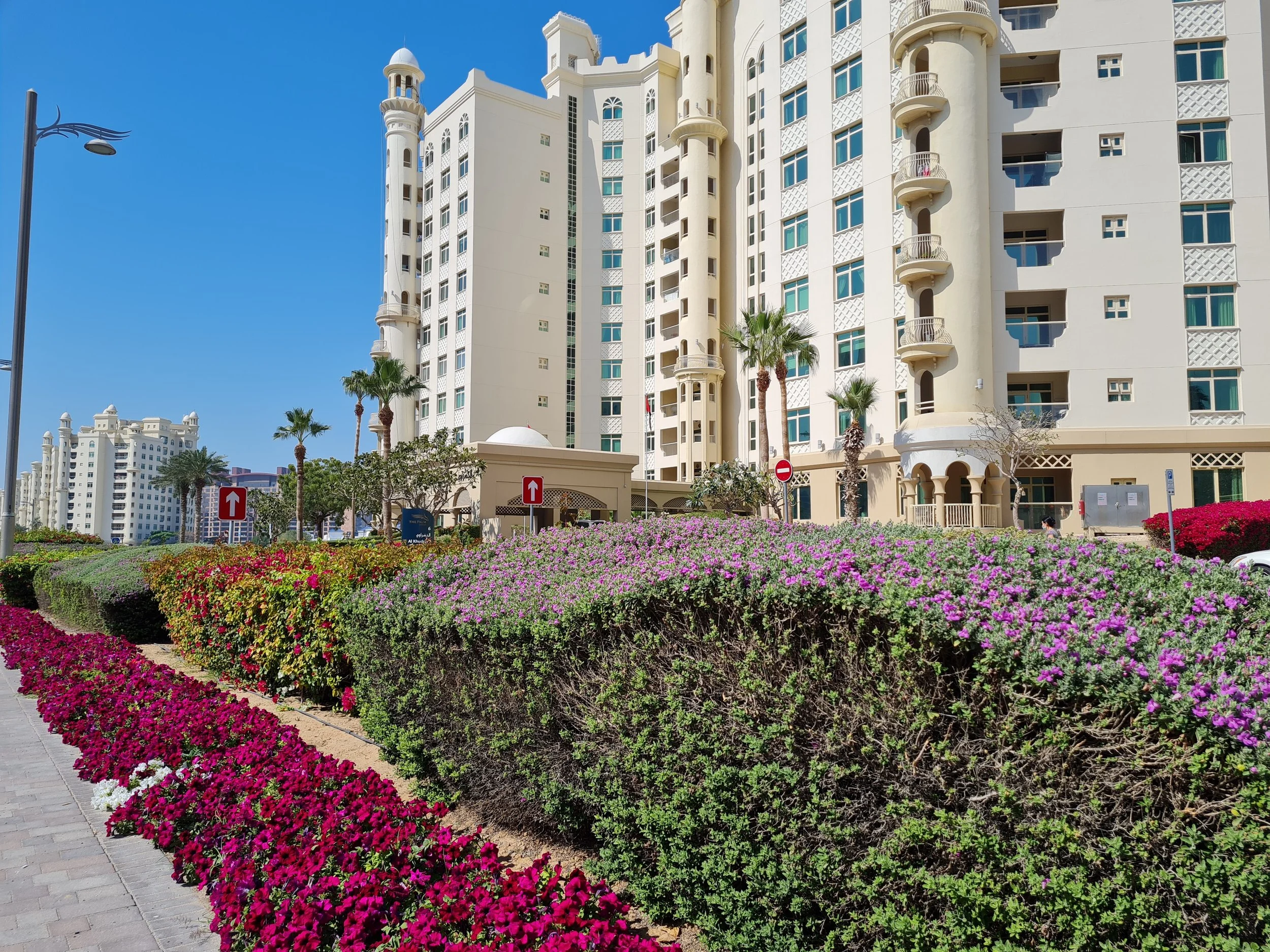 Shoreline Apartments: Mid-March Rental Review