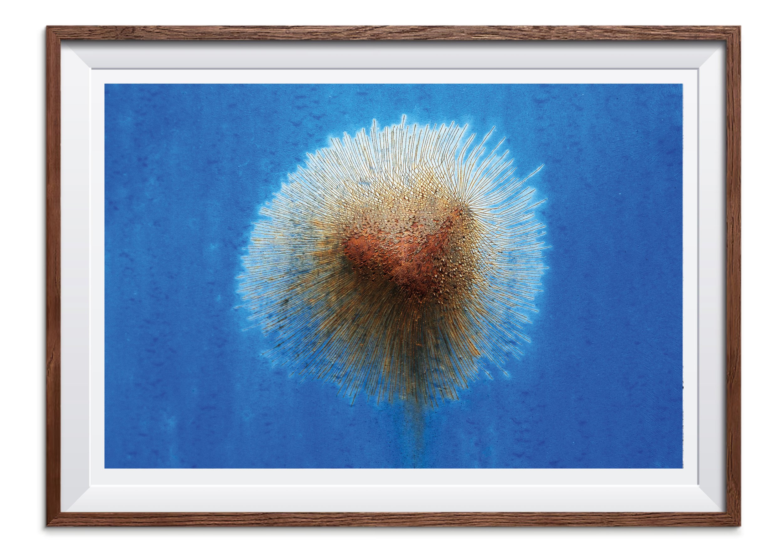 print og ramme til swuarespace 1 154.jpg