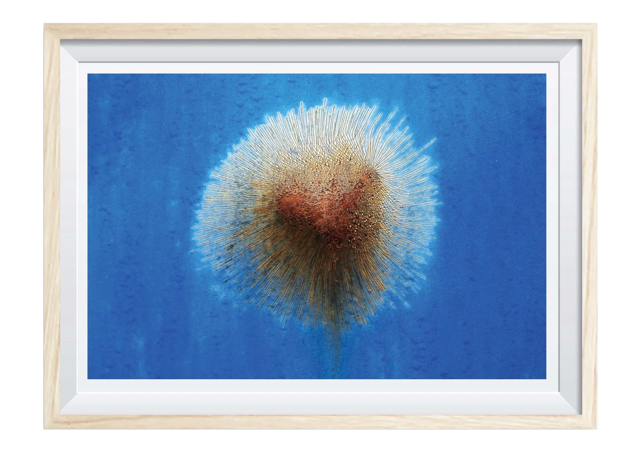 print og ramme til swuarespace 1 155.jpg