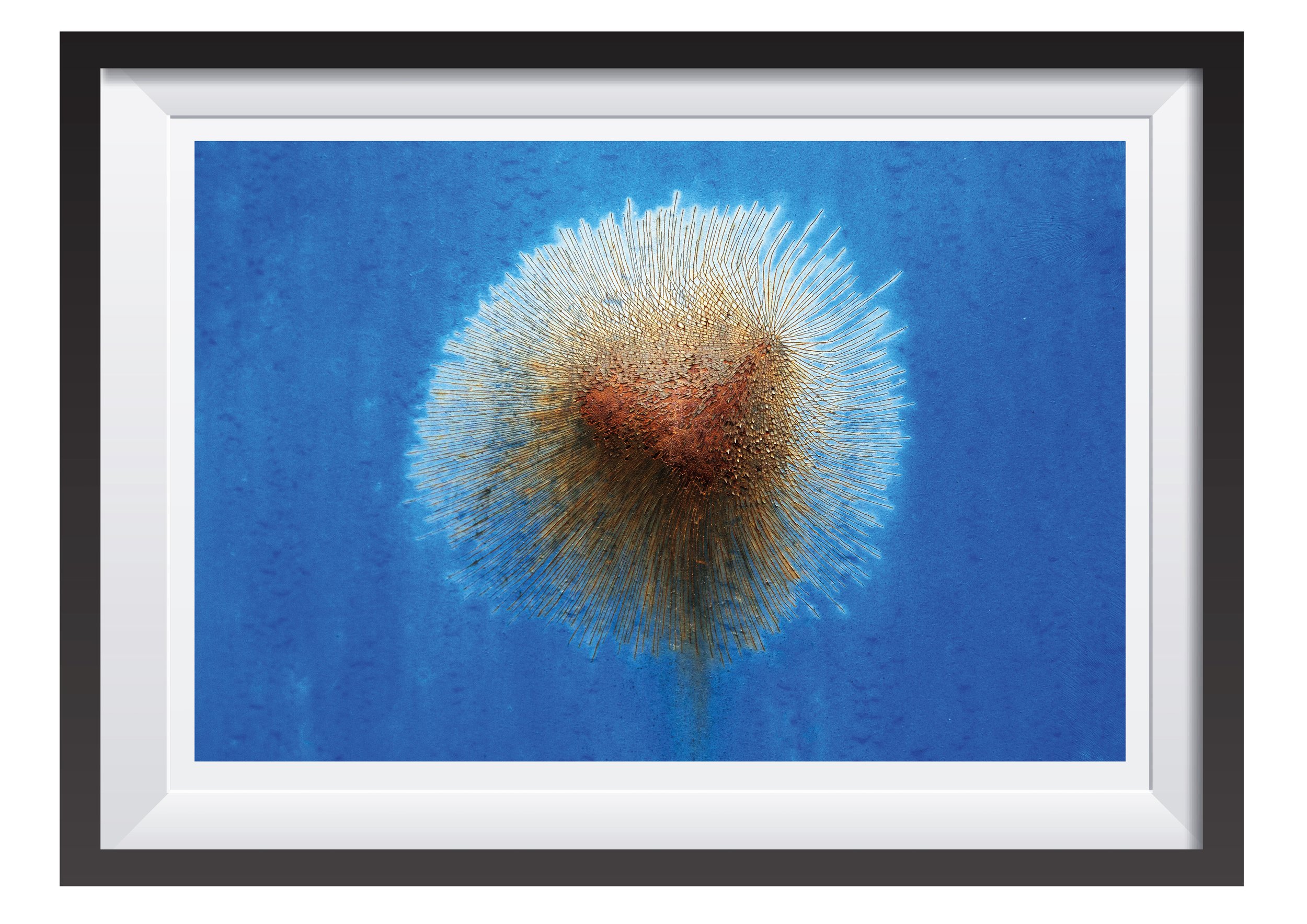 print og ramme til swuarespace 1 156.jpg