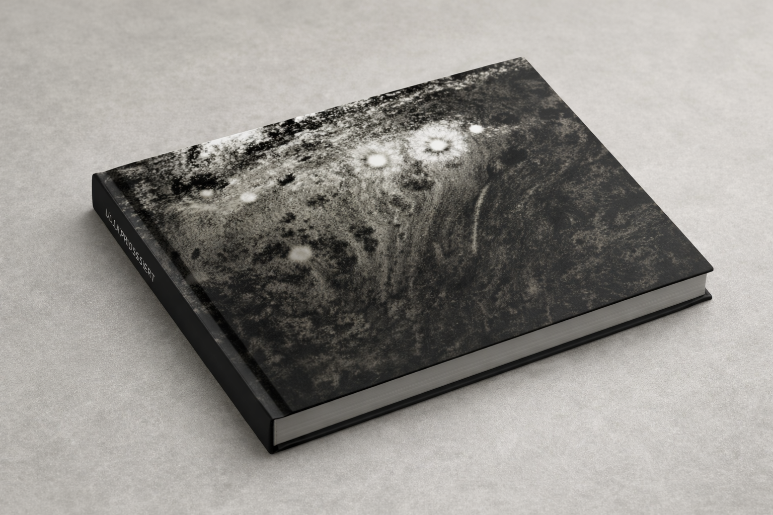 ULTRAPROSESSERT BOK - NY VERSJON.png