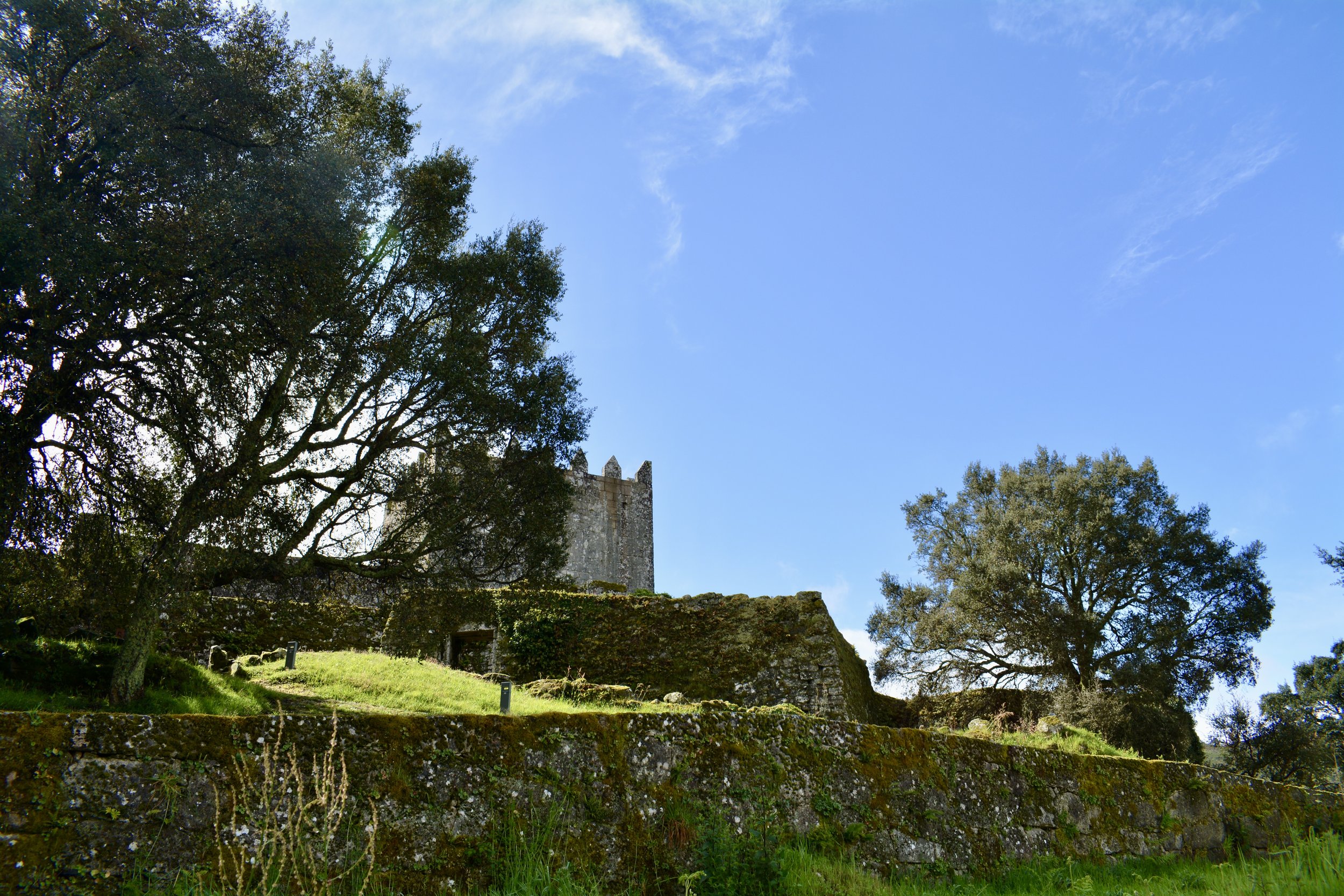 DSC_0148.JPG