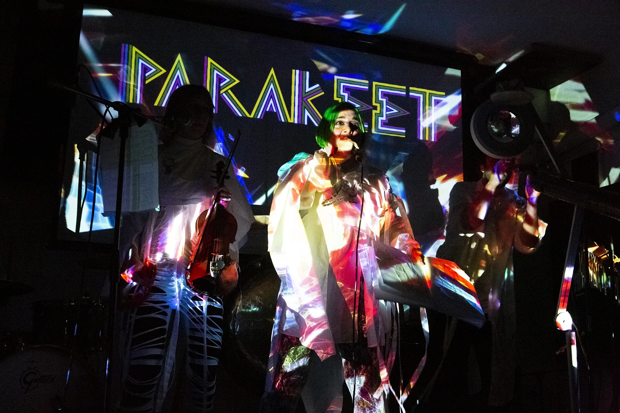ParakeetLIve2.jpg