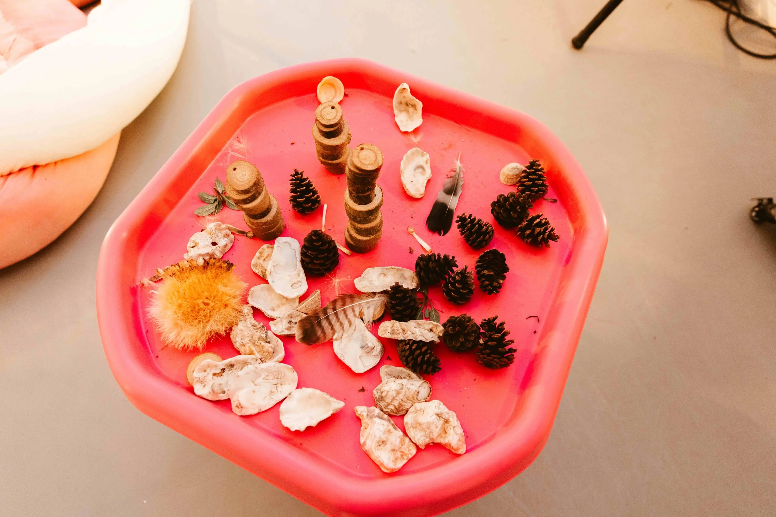 Crescendorious_Feb2024_Credit-RosiePowell-39 SMALLER.jpg