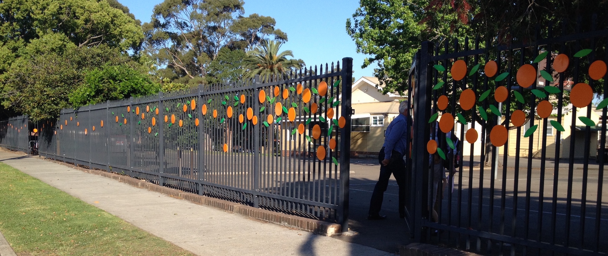 "Oranges"  Installation at Orange Grove PS Leichhardt 2016