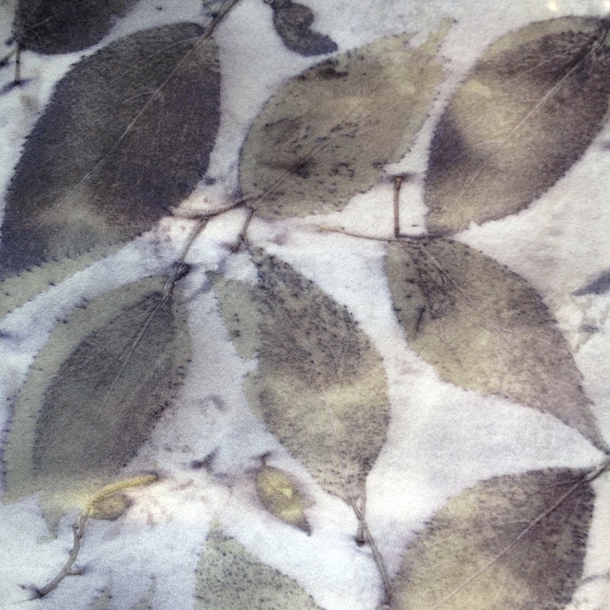 rokoco_eco_prunus_felt3..jpg